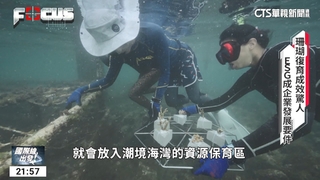 全球暖化珊瑚礁生態受威脅　企業投入復育計畫