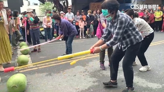 玉里大西瓜盛產！　母親節邀媽媽們「敲瓜」同樂