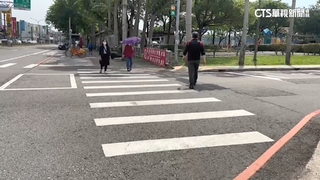 馬路變虎口？！乖乖走斑馬線　慘遭轉彎車撞滾地