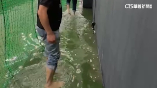 12億新竹棒球場淹水　辦公室.球員休息區泡湯