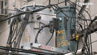 「遛鸚鵡」腳鍊誤觸高壓電　板橋近3千戶停電15秒