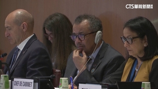 中.巴帶頭反對　台灣再被WHA拒於門外