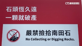 一顆要5百萬！　亂撿台東「南田石」會觸法