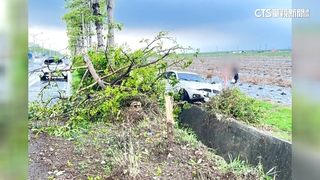 疑天雨路滑　情侶檔開車失控撞斷路樹