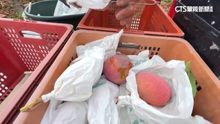 強颱瑪娃逼近　小琉球戲水熱點遊客少2成