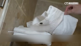 薔薔入住台中平價飯店　驚見死蒼蠅.小蟑螂爬竄
