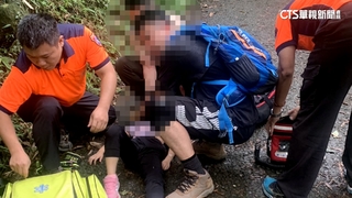 飛來橫禍！　爬台南大凍山　2女童遭枯樹擊中頭部