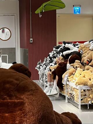 女學生躺IKEA娃娃堆狂自拍無視旁人　網怒罵：不意外