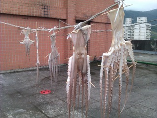 誇「章」！頂樓曬棉被驚現這場景　他崩潰發文：這是要怎麼用