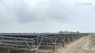 檢追台南光電弊案　前政院顧問古盛煇400萬交保