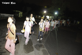 睽違10年　北市動物園「夜宿動物園營隊」暑假再度登場