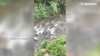 天雨路滑？　新北騎士自撞護欄　跌排水溝送醫不治