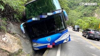 疑為閃避獼猴！　遊覽車阿里山公路自撞山壁4輕傷