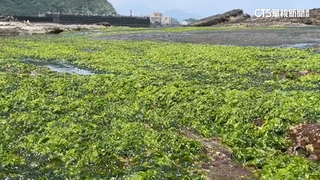 疑採海菜貢寮落水　消防.海巡陸空尋獲遺體