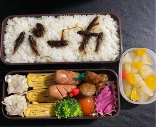 日本妻跟丈夫吵架 怒做「笨蛋蝗蟲」便當報復　一系列復仇便當笑翻網　