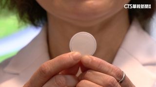 全球首創！　台中榮總「小黑蚊貼片疫苗」　防叮咬