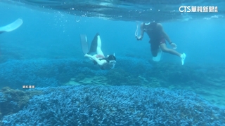 跟團浮潛賞澎湖七美海底美景　男溺水搶救不治