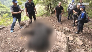 國寶保育悲歌　台灣黑熊受困陷阱活活渴死