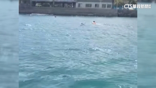 不要命！　小琉球遊客游進漁港航道　最高開罰15萬