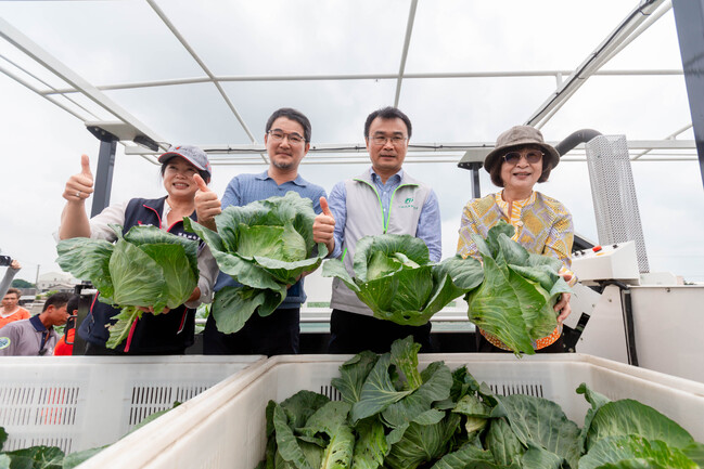 蔬菜機耕標準化 省工省力顧品質 | 華視新聞