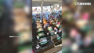 破紀錄！　屏東東港黑鮪「大出」今進港量438尾