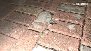 台南「恐怖人行道」　地磚高低落差害婦人跌斷手！