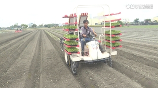 改善農業缺工現狀　農委會推機械代耕體系