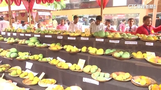 天價芒果現印度　每公斤要價逾台幣3.7萬