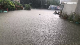 大雨狂炸嘉義！　新港20戶民宅淹水深達40公分