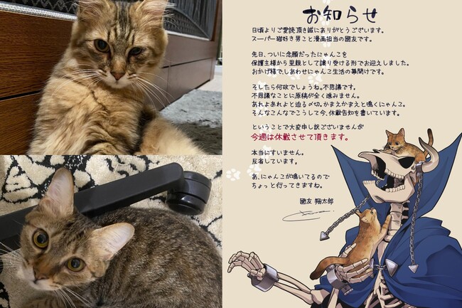 日本漫畫家突休刊是為了「好好陪貓」　引網友大力支持：貓咪萬歲！ | 華視新聞