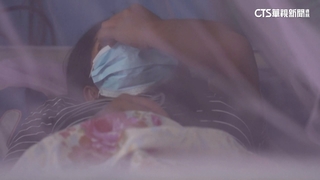 秘魯登革熱爆發！　死亡逾200.確診逾13萬人