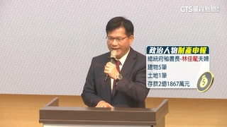 最新財產申報出爐　林佳龍身價近4億元