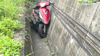 佛光大學2女研究生　台東騎車撞樹墜溝不治