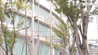 SOGO進駐誠品加持　大巨蛋欲打造「夜經濟」商圈