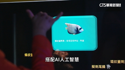工研院「我視AI魚缸」　奪美消費電子展創新獎