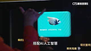 工研院「我視AI魚缸」　奪美消費電子展創新獎