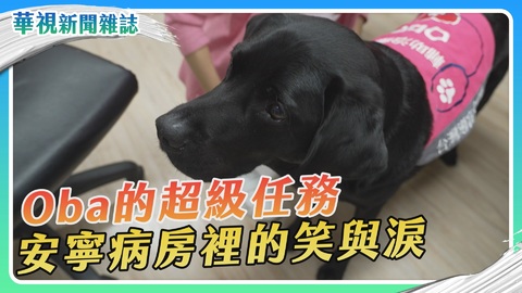 安寧病房裡的笑與淚｜Oba的超級任務｜華視新聞雜誌