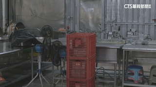 團膳公司遭爆鼠竄廚房　業者：半年前停業整修