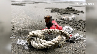 苗栗「假日之森沙灘」暗藏鐵樁　遊客誤踩腳受傷