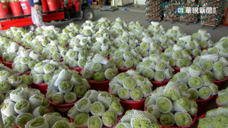國台辦宣布：即日起「恢復台灣釋迦輸入中國」　