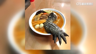 「酷斯拉」拉麵你敢吃嗎？　鱷魚腳跨上桌視覺超衝擊