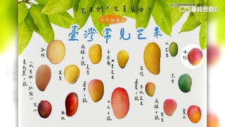 芒果產季到！　台灣常見芒果品種多達16種