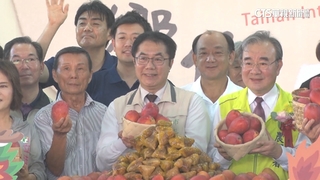 台南國際芒果節開跑　外銷有望突破4千公噸
