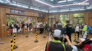 票價漲價前連假衝一波　避暑民眾塞爆溪頭