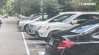 趁漲價前衝一波！　溪頭湧現連假避暑人潮