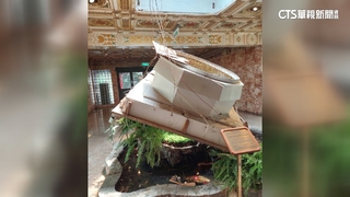 天花板掉落！　圓山飯店「百年金龍」遭砸中斷頭