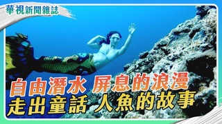 屏息的浪漫 人魚的故事｜自由潛水｜華視新聞雜誌