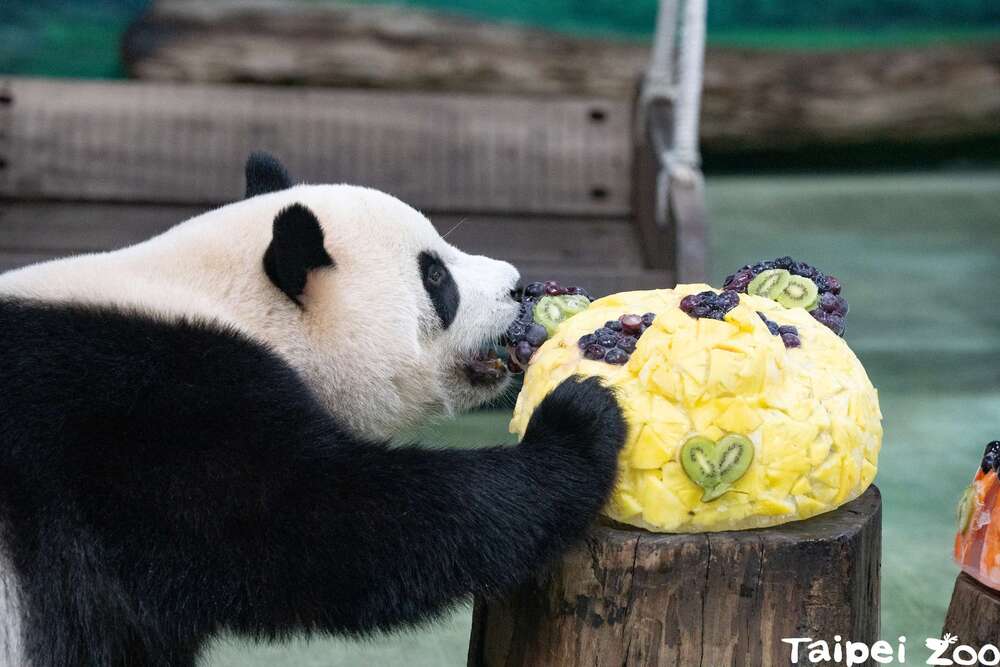 圖片來源 台北市立動物園