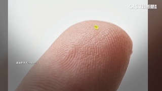 小到能穿針眼！　微型包近200萬台幣成交