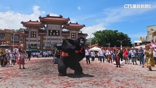 全台唯一「仿真黑猩猩」廟前熱舞　體感飆破40度